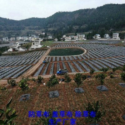 宁夏100克防草布,果园除草布_盖草布_抑制杂草生长地布,透气_透水_防虫害