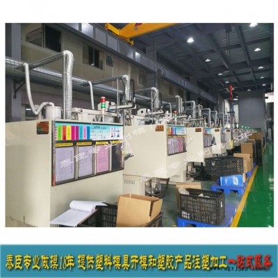 中山泰臣塑胶模具低价定做 专业塑胶模具厂家 塑胶产品注塑加工图2
