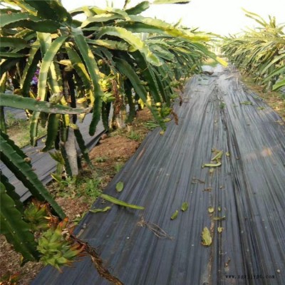 宇润源头园艺地布每卷1米500米-6200米 茶园防草布-- 葡萄园 苗圃防草布 苹果园花卉防草布