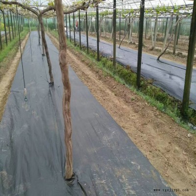 青海防草布祥盛牌果园透水盖草布渗水黑色除草布靠谱工厂专注生产10余年