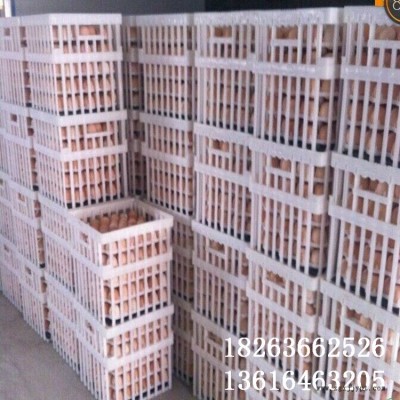 山东福德中兴鸡种蛋筐规格 塑料种蛋筐 36枚种鸡蛋筐厂家直销图2
