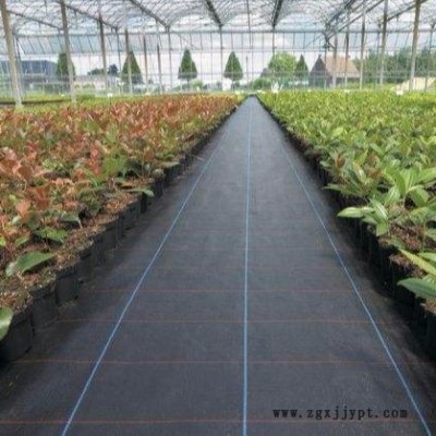 厂家黑色防草布 工农业用大棚果园防草地布 遮阳pp除草布