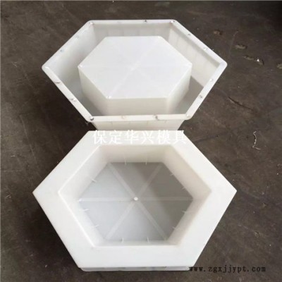 六棱块模具 六角砖模具 六角块模具 卓亿模具图2
