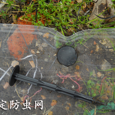 旭立厂家直销塑料地钉20cm固定防草布防虫网专用塑料地钉图2