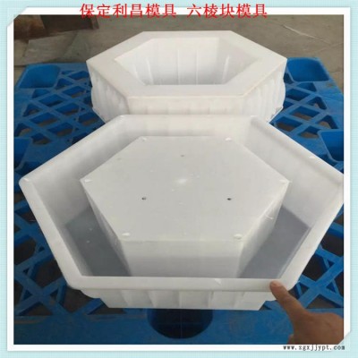 河北华旭模具六棱块模具塑料空心六棱块模具生产厂家图1