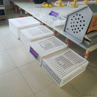 方形运输鸡笼 可组装式鸡笼 塑料鸡筐厂家直销 量大从优