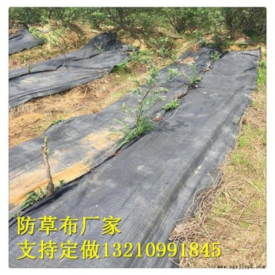 园艺地布厂家，果园园林防草布 室内花盆摆放地布 厂家质量好价格合理图1