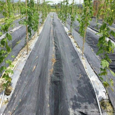 黑色90克防草布 果树种植防草布 山东pp防草布生产厂家图1