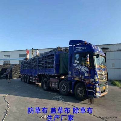 湖南PP防草布,果园除草布_盖草布_抑制杂草生长地布,透气_透水_防虫害图5