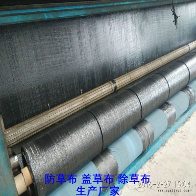 湖南PP防草布,果园除草布_盖草布_抑制杂草生长地布,透气_透水_防虫害图2