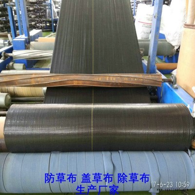 湖南PP防草布,果园除草布_盖草布_抑制杂草生长地布,透气_透水_防虫害图8