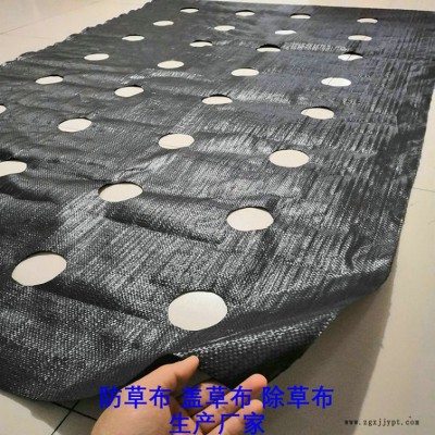湖南PP防草布,果园除草布_盖草布_抑制杂草生长地布,透气_透水_防虫害图3