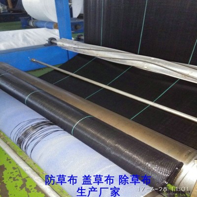 上海PP防草布,果园除草布_盖草布_抑制杂草生长地布,透气_透水_防虫害图5