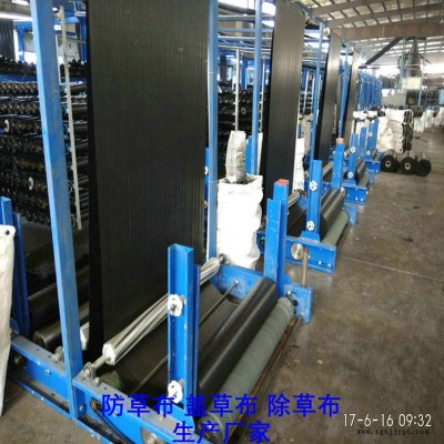 上海PP防草布,果园除草布_盖草布_抑制杂草生长地布,透气_透水_防虫害图9