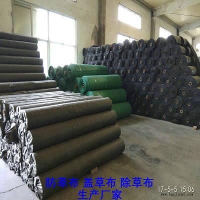 上海PP防草布,果园除草布_盖草布_抑制杂草生长地布,透气_透水_防虫害图4