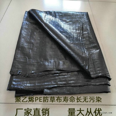 上海PP防草布,果园除草布_盖草布_抑制杂草生长地布,透气_透水_防虫害图7