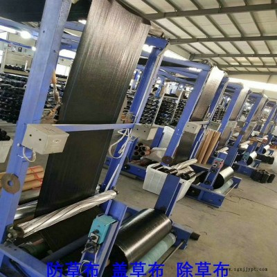上海PP防草布,果园除草布_盖草布_抑制杂草生长地布,透气_透水_防虫害图3