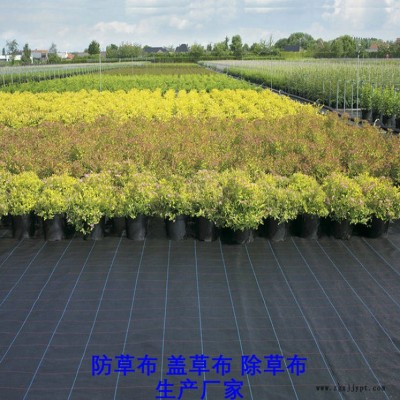 重庆PE防草布,果园除草布_盖草布_抑制杂草生长地布,透气_透水_防虫害图9