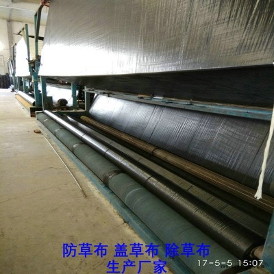 重庆PE防草布,果园除草布_盖草布_抑制杂草生长地布,透气_透水_防虫害图6