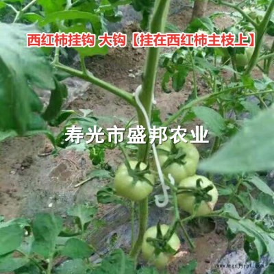 供应西红柿吊穗钩 西红柿挂钩 果穗钩   番茄塑料吊穗钩 挂果钩吊蔓托穗钩子 西红柿吊秧挂钩图2