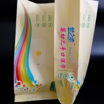 彩印塑料包装袋    四边封彩印      婴幼儿 湿巾手工袋图2