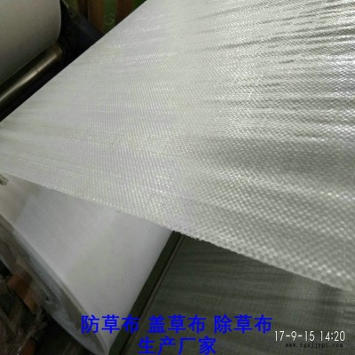 安徽PP防草布,果园除草布_盖草布_抑制杂草生长地布,透气_透水_防虫害图2