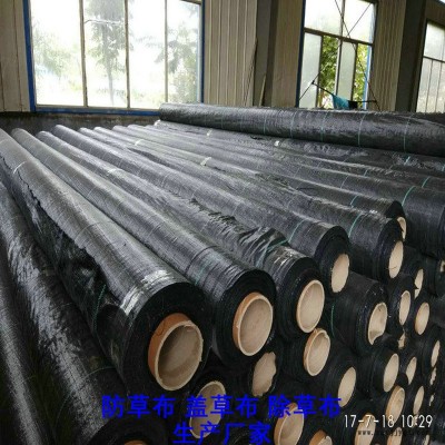 安徽PP防草布,果园除草布_盖草布_抑制杂草生长地布,透气_透水_防虫害图6