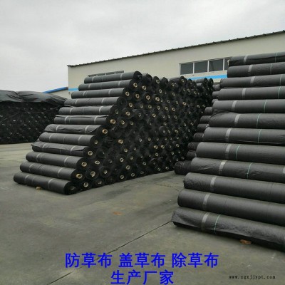安徽PP防草布,果园除草布_盖草布_抑制杂草生长地布,透气_透水_防虫害图3