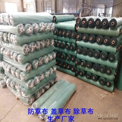 安徽PP防草布,果园除草布_盖草布_抑制杂草生长地布,透气_透水_防虫害图5