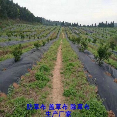 贵州防草布厂家,果园除草布_盖草布_抑制杂草生长地布,透气_透水_防虫害图6