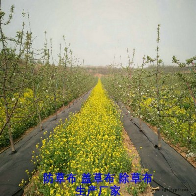 贵州防草布厂家,果园除草布_盖草布_抑制杂草生长地布,透气_透水_防虫害图8