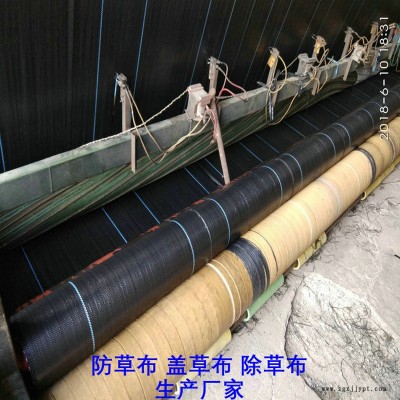 湖北PE防草布,果园除草布_盖草布_抑制杂草生长地布,透气_透水_防虫害图8