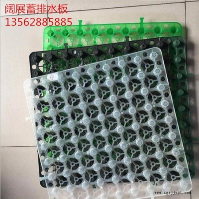 阔展2.5公分加强型蓄排水板 塑料排水板图7