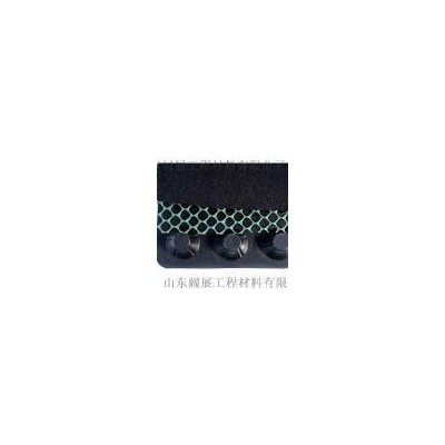 阔展2.5公分加强型蓄排水板 塑料排水板图4