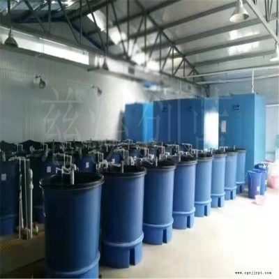 室内循环水培育桶 鱼苗孵化桶 水产养殖桶 滚塑加工图2