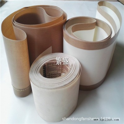 橡塑硫化挤出机 橡胶 硅胶制品专用输送带 铁氟龙 特氟龙布带厂家图5