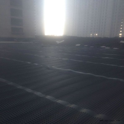 天津黑色20MM蓄水排水板生产加工图2