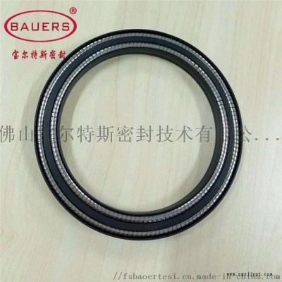 液压泵用双弹簧密封圈图5