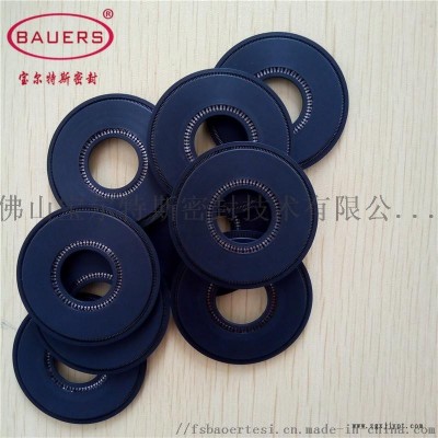 液压泵用双弹簧密封圈图2