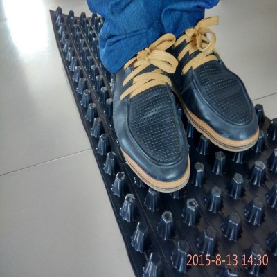 青海白色20MM蓄排水板生产加工图2