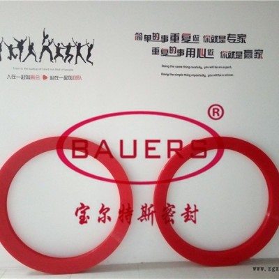 GP系列多缸圆锥破碎机密封圈 破碎机密封圈图4