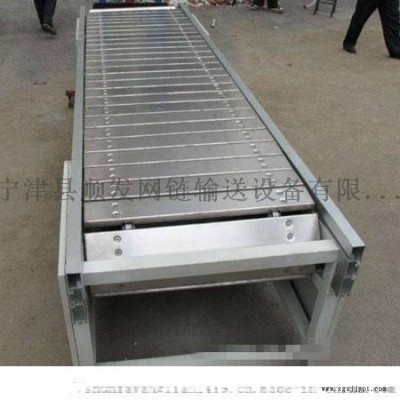 宁津厂家直销加工定制物料传送带 塑料链板输送机图2