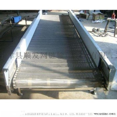 宁津厂家直销加工定制物料传送带 塑料链板输送机图3