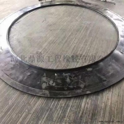 橡胶帘布板厂家-地铁洞门橡胶密封圈设计标准图1