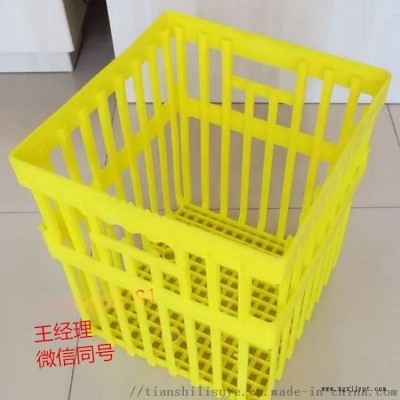 厂家直供种鸡蛋周转筐 塑料种蛋筐报价图2