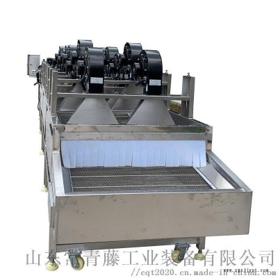 玻璃瓶塑料瓶清洗风干线 全自动杏鲍菇翻转式风干机图5