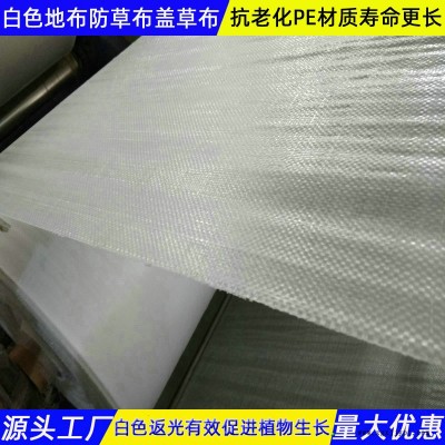 白色防草布青海生产加工图4