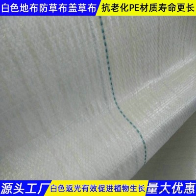 白色防草布青海生产加工图3