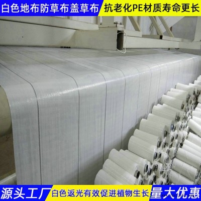 白色防草布青海生产加工图2