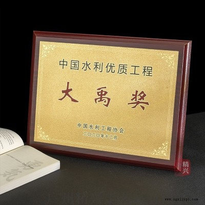 大禹奖杯 大禹奖牌 水利工程奖杯 金属奖杯图4